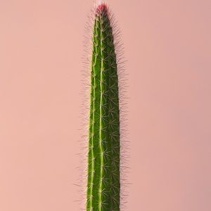 Meet your Posher, Stanislav